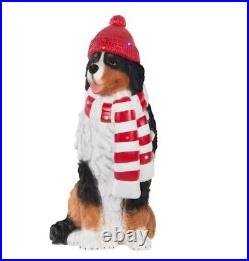 2.5 ft. Christmas Bernese Mountain Dog with LED Lights Timer HOME ACCENTS