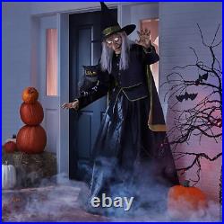 6FT Halloween Vintage LED Witch Outdoor Decor
