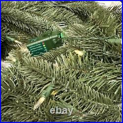 Balsam Hill 6 Foot Clear LED Vermont White Spruce Garland Open $229 Set of 2