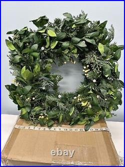 Balsam Hill White Berry Cypress Foliage 28 prelit Battery operated-LIGHT ISSUE