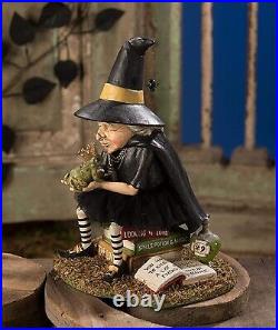Bethany Lowe Halloween How To Find A Prince Witch TD8573 Free Shipping