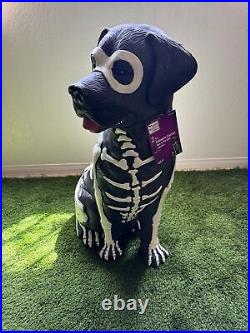 Black Lab Skeleton Glow in the Dark Halloween Dog