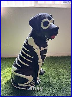 Black Lab Skeleton Glow in the Dark Halloween Dog