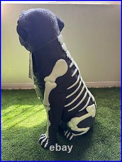 Black Lab Skeleton Glow in the Dark Halloween Dog