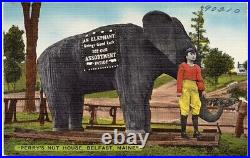 EX RARE 1940 Souvenir Snow Globe PERRY'S NUT HOUSE Belfast Maine ELEPHANT MASCOT