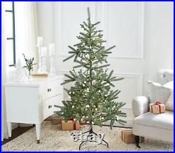 Ebenezer & Co. 5' Prelit Fraser Fir Christmas Tree 200 white LED Lights