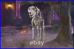 Home Accents Holiday Halloween Home Depot 7 FT Skelly's Dog NEW FOR 2024