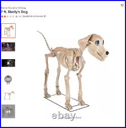 Home Accents Holiday Halloween Home Depot 7 FT Skelly's Dog NEW PRESALE