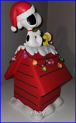 Large 20in Peanuts Snoopy and Woodstock On Lighted LED Dog House Christmas