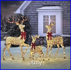 Members Mark Pre lit 3 Piece Twinkling Deer Family