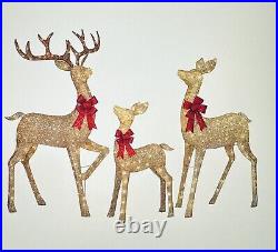 Members Mark Pre lit 3 Piece Twinkling Deer Family