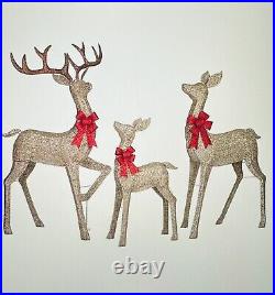 Members Mark Pre lit 3 Piece Twinkling Deer Family