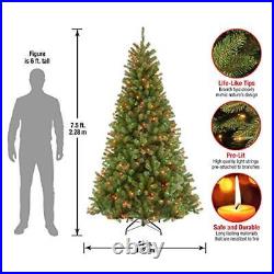 National Tree Company Pre-Lit Artificial Slim Christmas Tree Green North Vall