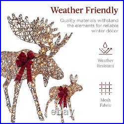 New 2-Piece Moose Family Lighted Outdoor Christmas Decoration Set with 170 Lights