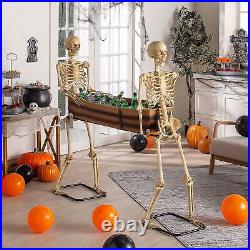 SPOOKTACULAR Skeletons Carrying Coffin Halloween Decor Unique and Spooky De