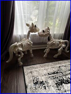 Skeleton Cow And Pony