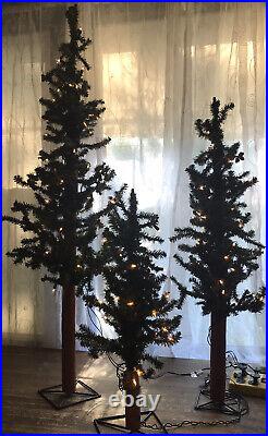 Sterling Tree Company 2-3-4ft P/L Alpine Trees 2511-234C Sterling Tree Company